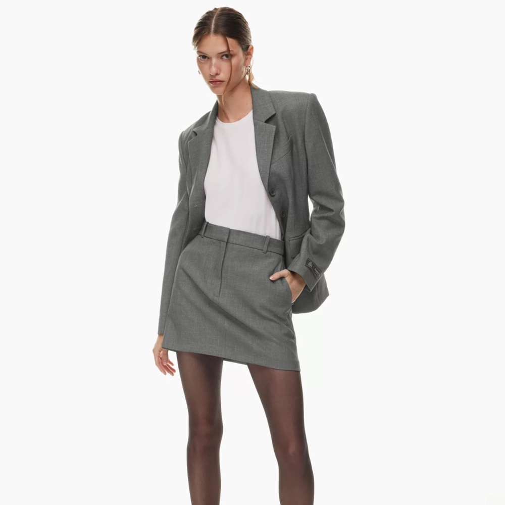 Aritzia Chisel Skirt